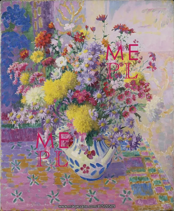 : Michaelmas Daisies and Chrysanthemums : Michaelmas Daisies and Chrysanthemums