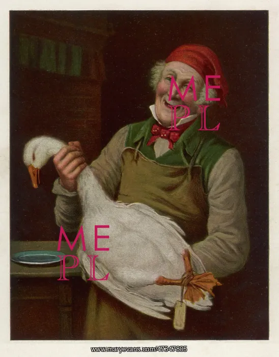 : MICHAELMAS GOOSE : MICHAELMAS GOOSE