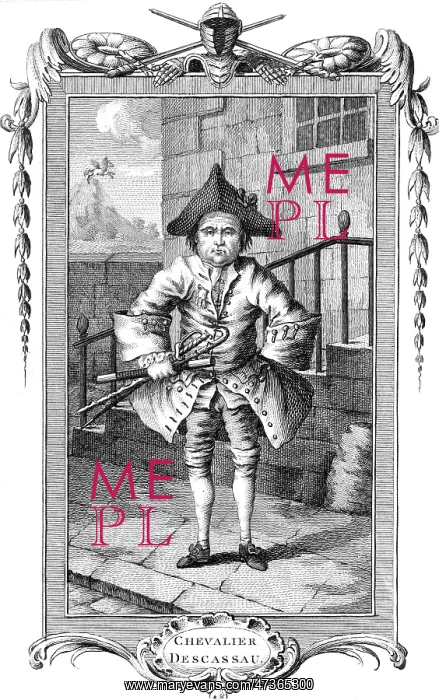 : MICHEL DESCAZEAUX : MICHEL DESCAZEAUX