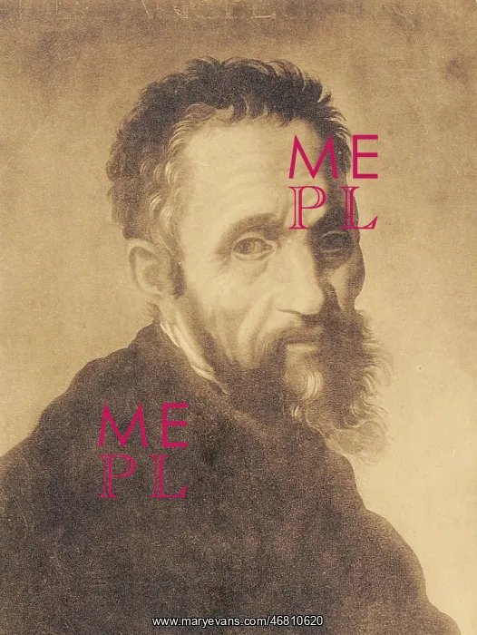: Michelangelo self-portrait : Michelangelo self-portrait