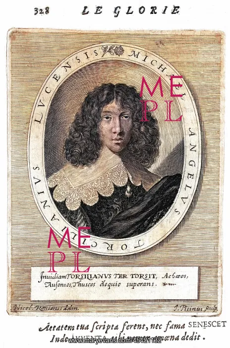 : MICHELANGELO TORCILIANI : MICHELANGELO TORCILIANI