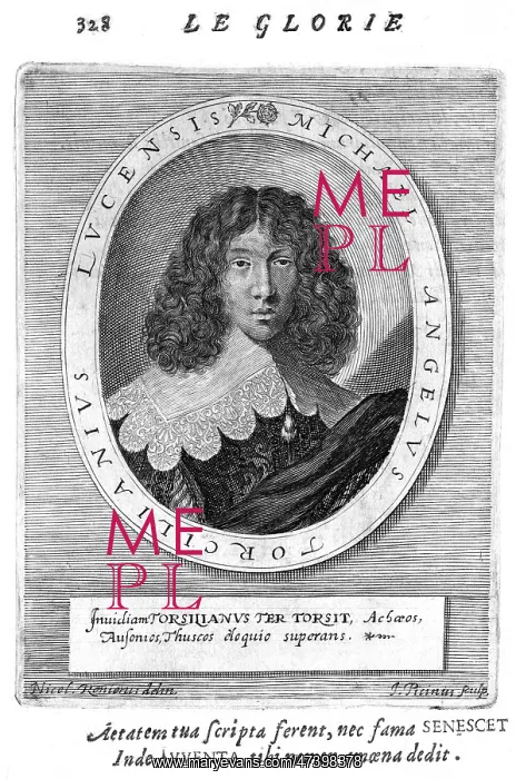 : MICHELANGELO TORCILIANI : MICHELANGELO TORCILIANI