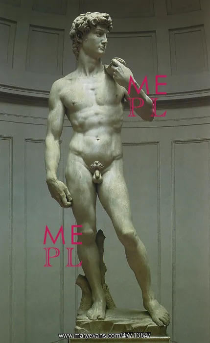 : Michelangelo's David : Michelangelo's David
