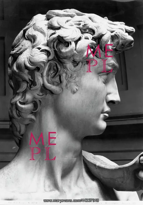 : Michelangelo's David close-up of the : Michelangelo's David close-up of the