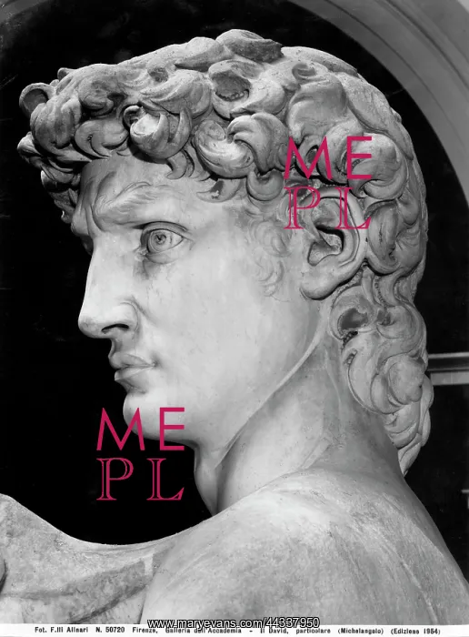 : Michelangelo's David close-up of the : Michelangelo's David close-up of the
