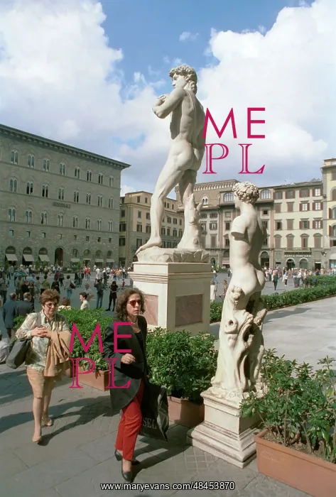 : Michelangelo's David in Florence, 1996 : Michelangelo's David in Florence, 1996