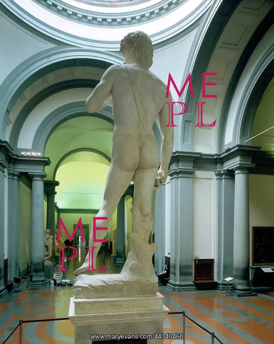 : Michelangelo's David photographed from behind : Michelangelo's David photographed from behind