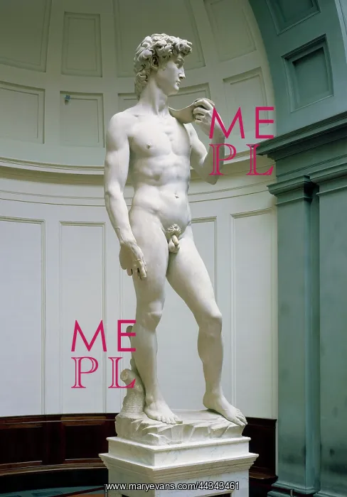 : Michelangelo's David after restoration completed : Michelangelo's David after restoration completed
