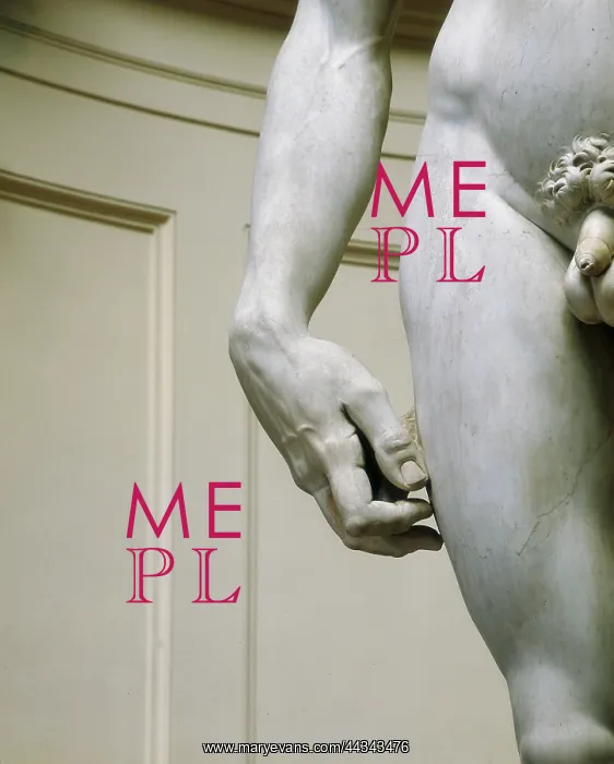 : Michelangelo's David after restoration completed : Michelangelo's David after restoration completed