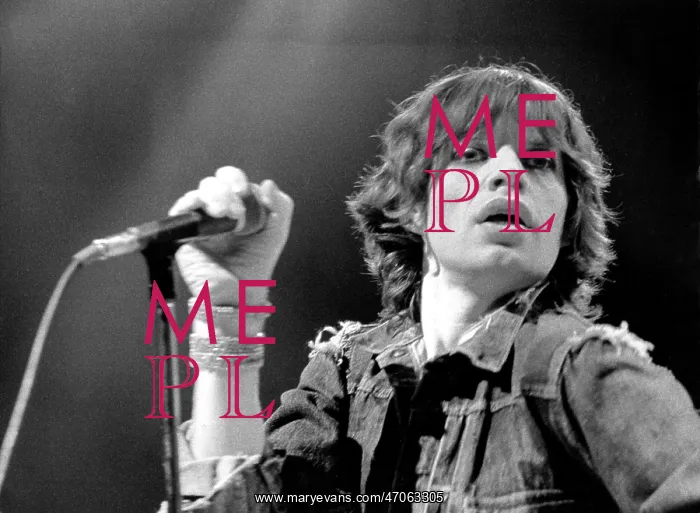 : Mick Jagger, lead singer of The Rolling Stones, in Munich : Mick Jagger, lead singer of The Rolling Stones, in Munich