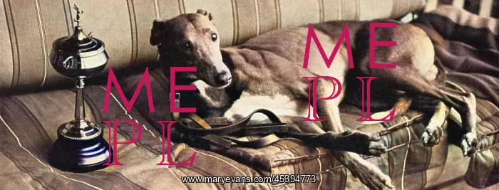 : Mick the Miller : Mick the Miller