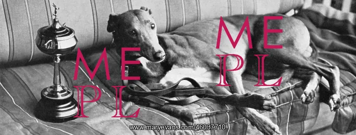 : Mick the Miller : Mick the Miller