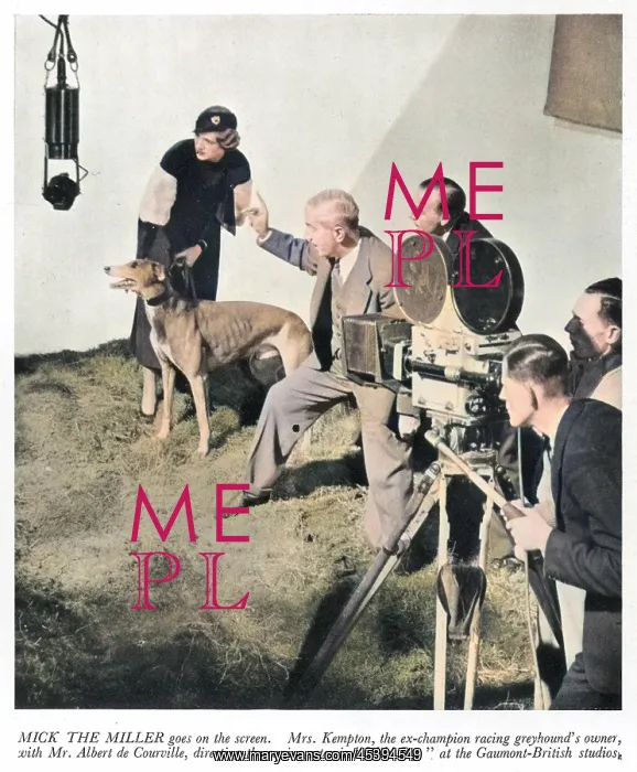 : MICK THE MILLER BECOMES A FILM STAR : MICK THE MILLER BECOMES A FILM STAR