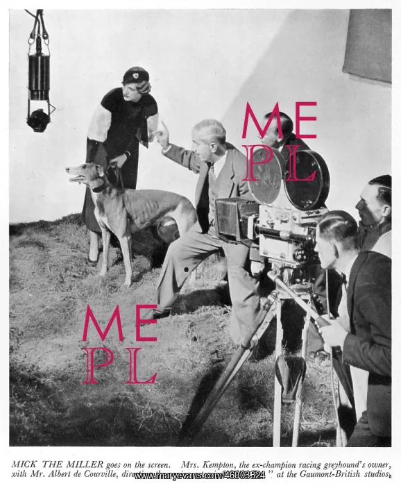 : MICK THE MILLER BECOMES A FILM STAR : MICK THE MILLER BECOMES A FILM STAR