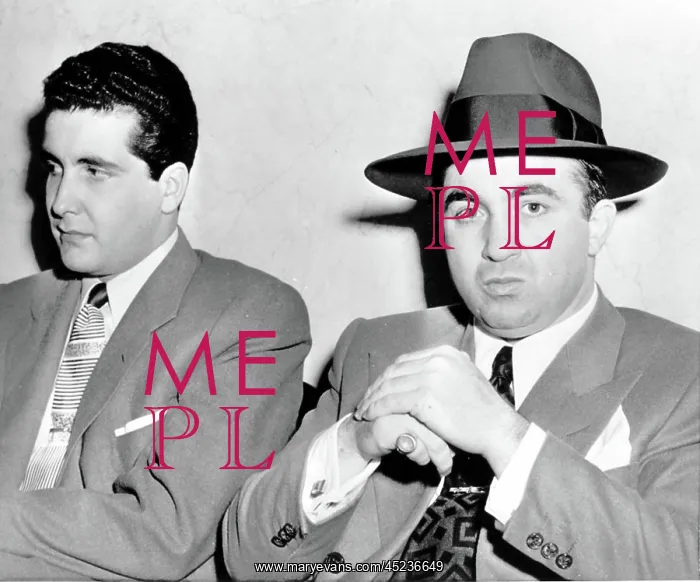 : MICKEY COHEN-(r)seated next to Johnny Stompanato ? : MICKEY COHEN-(r)seated next to Johnny Stompanato ?