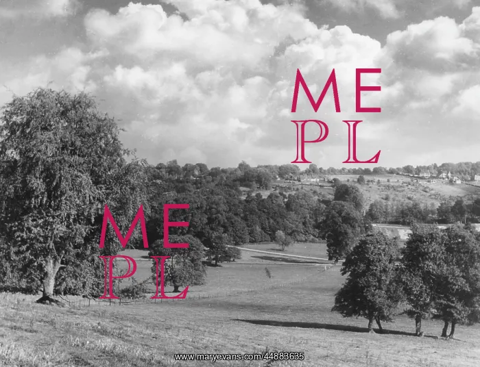 : MICKLEHAM PARK : MICKLEHAM PARK