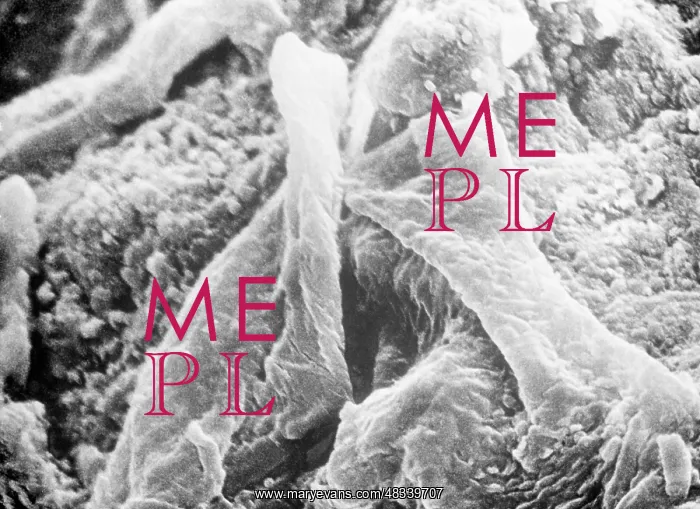 : Microorganisms, 1998 : Microorganisms, 1998