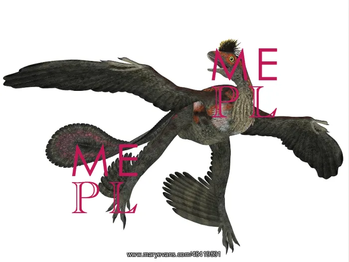 : Microraptor dinosaur : Microraptor dinosaur