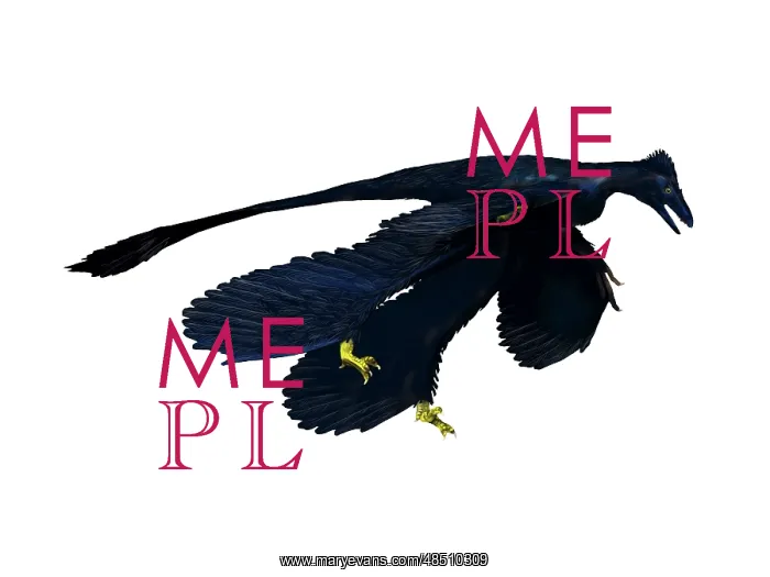 : Microraptor dinosaur : Microraptor dinosaur