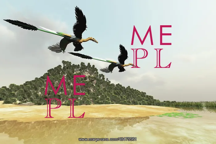 : Two Microraptor dinosaurs fly over a wetland marsh in ? : Two Microraptor dinosaurs fly over a wetland marsh in ?