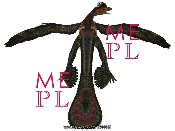 : Microraptor was a flying dinosaur that lived during the ? : Microraptor was a flying dinosaur that lived during the ?