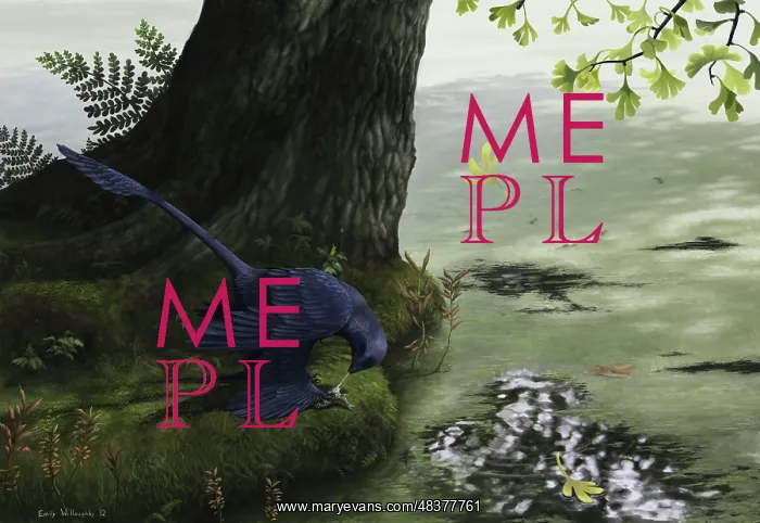 : Microraptor gui eating a small fish : Microraptor gui eating a small fish