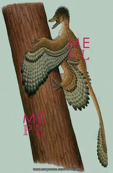 : Microraptor gui, a small theropod from the Early Cretaceous : Microraptor gui, a small theropod from the Early Cretaceous