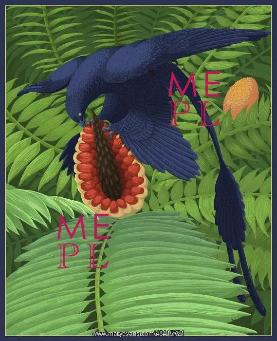 : Microraptor gui snacking on a cycad fruit : Microraptor gui snacking on a cycad fruit