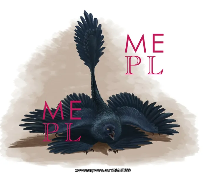 : Microraptor gui spreads its four wings to look as large as ? : Microraptor gui spreads its four wings to look as large as ?