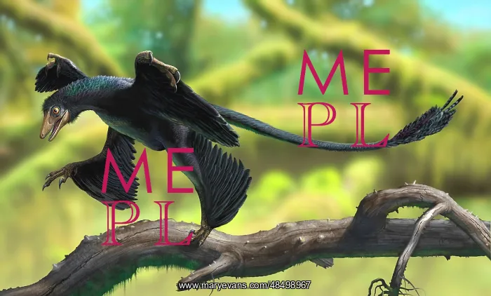 : A Microraptor perched on a tree branch : A Microraptor perched on a tree branch