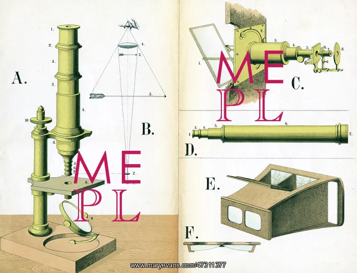 : Microscope 1882 : Microscope 1882
