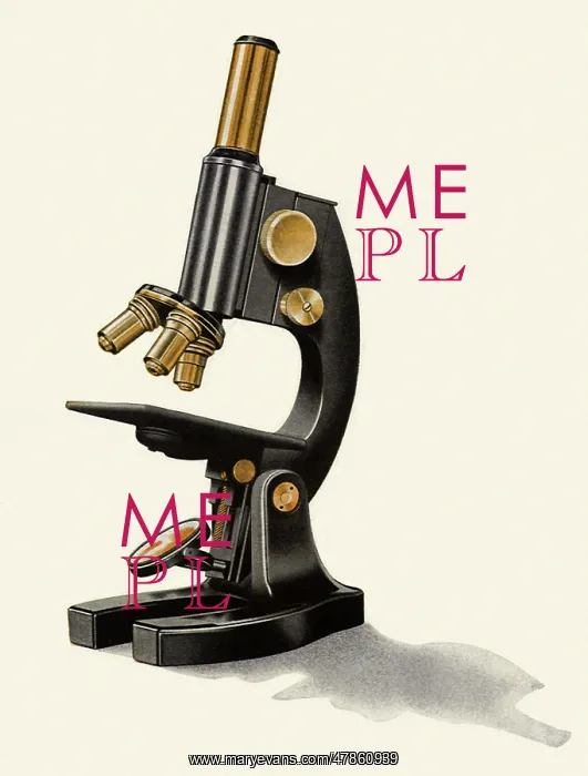  : Microscope