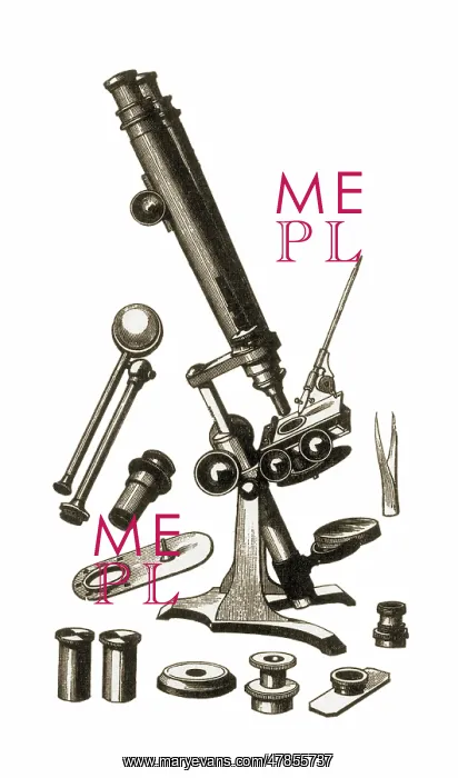 : Microscope Accessories : Microscope Accessories