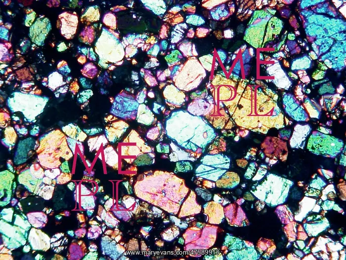 : Microscope image of the Brachina meteorite : Microscope image of the Brachina meteorite