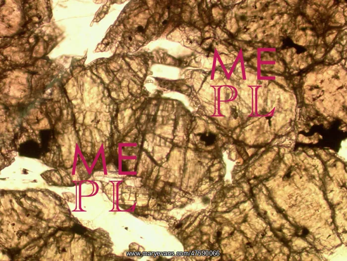 : Microscope image of the Zagami shergottite : Microscope image of the Zagami shergottite