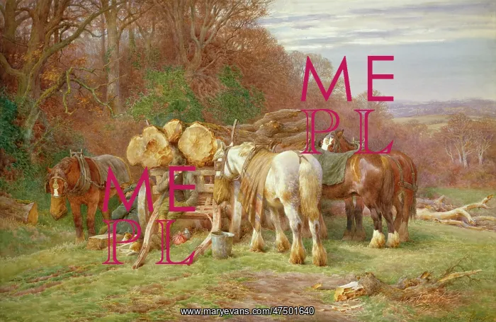 : Mid-day Rest : Mid-day Rest