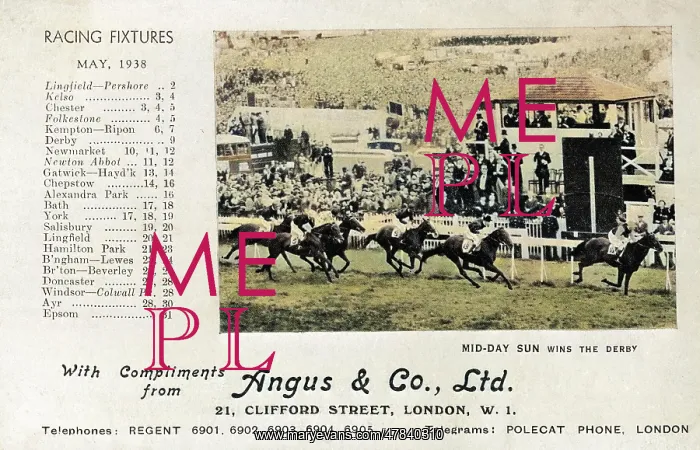 : Mid-Day Sun winning the Epsom Derby, 1937 : Mid-Day Sun winning the Epsom Derby, 1937