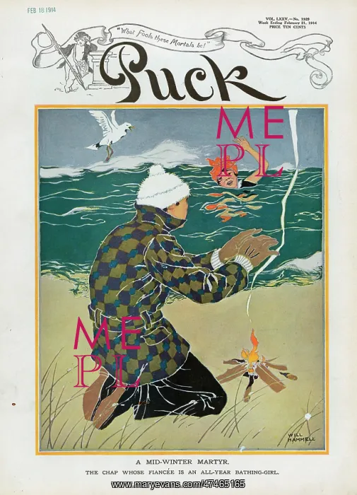 : A mid-winter martyr : A mid-winter martyr