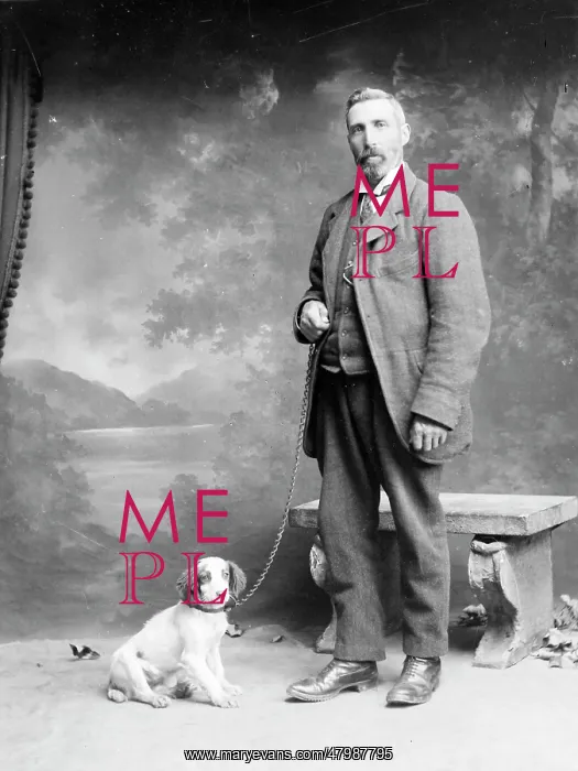 : Middle aged man with spaniel puppy, Mid Wales : Middle aged man with spaniel puppy, Mid Wales