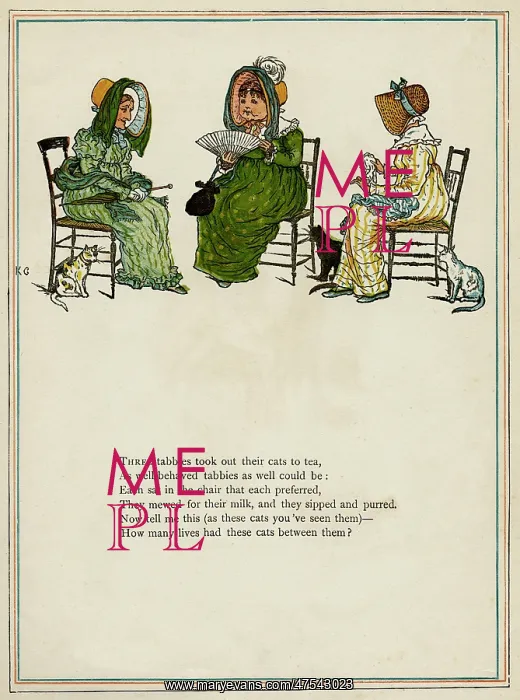 : Three middle-aged women with their cats : Three middle-aged women with their cats