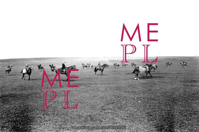  : Middleham, Race Horses on the Moor 1914