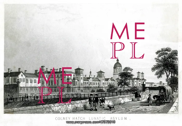 : Middlesex Pauper Lunatic Asylum at Colney Hatch : Middlesex Pauper Lunatic Asylum at Colney Hatch