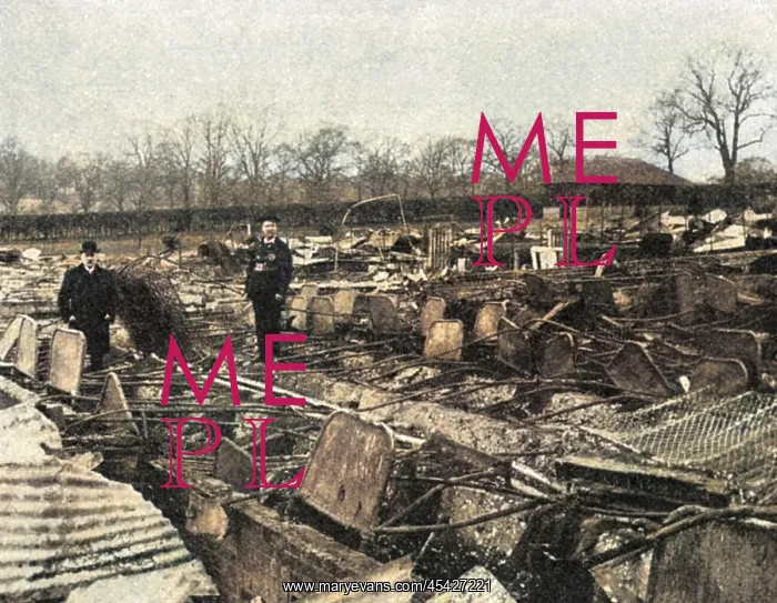 : Middlesex Pauper Lunatic Asylum fire, 1903 : Middlesex Pauper Lunatic Asylum fire, 1903