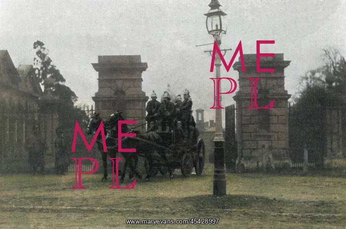 : Middlesex Pauper Lunatic Asylum fire, 1903 : Middlesex Pauper Lunatic Asylum fire, 1903