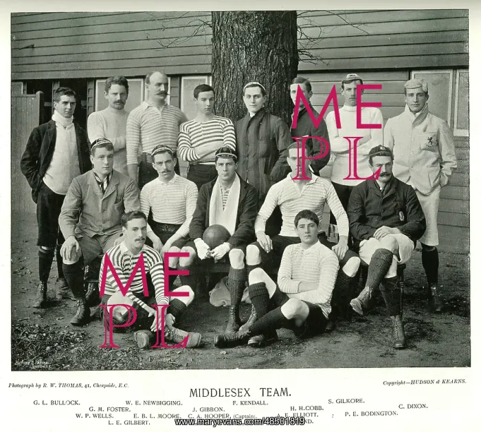 : Middlesex Rugby Team : Middlesex Rugby Team