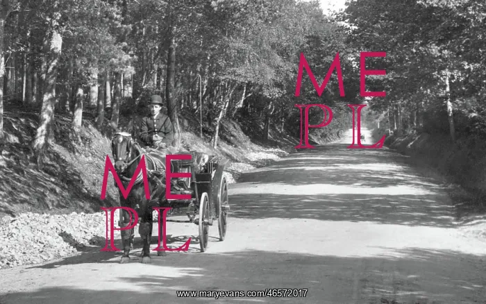 : Midhurst, Horse and Carriage 1907 : Midhurst, Horse and Carriage 1907