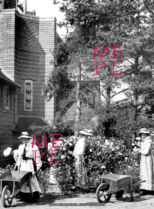  : Midhurst, the King Edward Sanatorium 1907