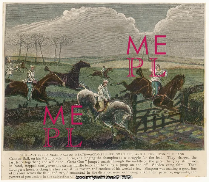 : Midnight Steeplechase : Midnight Steeplechase