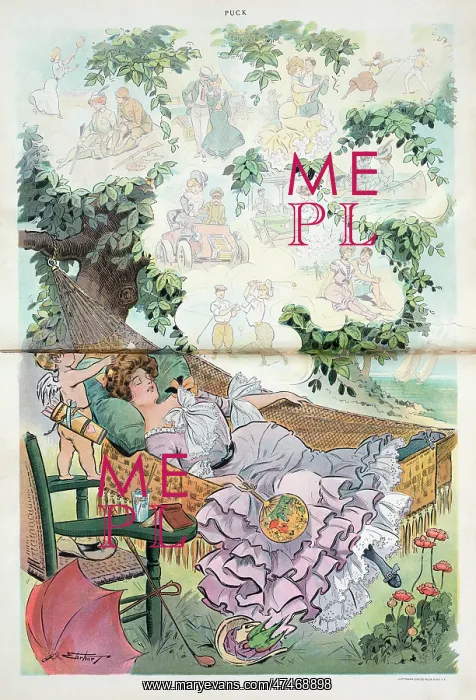 : A midsummer day's dream : A midsummer day's dream