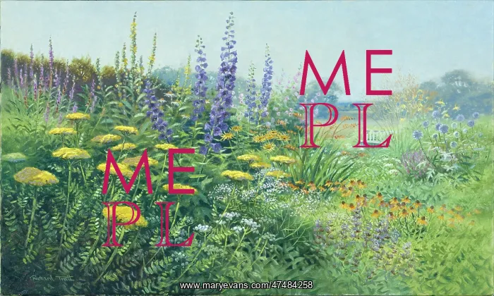 : The Midsummer Garden : The Midsummer Garden